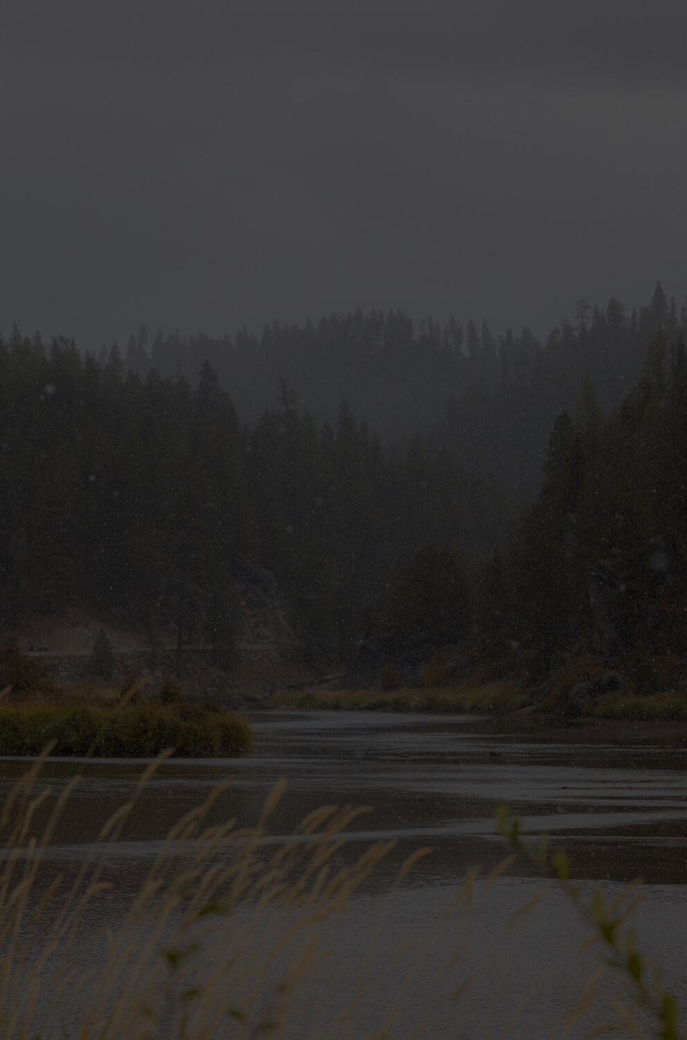 Bianchi Background Image